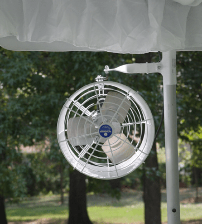 Tent Fan 12' 