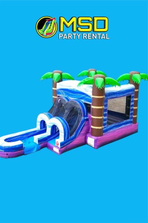 Summer bounce Front entrance Purple