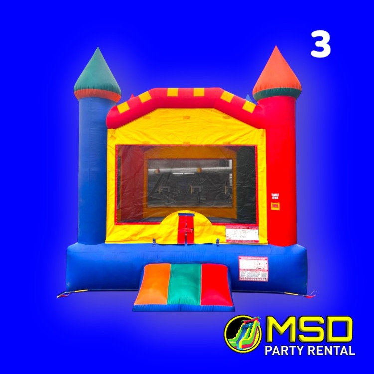 PERFECT BOUNCE 13x13