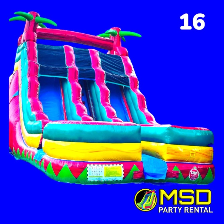 18FT DUAL LANE WATER SLIDE