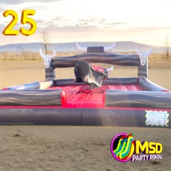 Mechanic Bull / Music